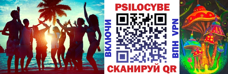 сколько стоит Новоржев Псилоцибиновые грибы Magic Shrooms