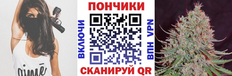 купить закладку  Новоржев  Бошки марихуана марихуана 